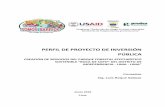 PERFIL DE PROYECTO DE INVERSIÓN PÚBLICA