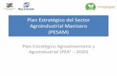Plan Estratégico del Sector Agroindustrial Manisero (PESAM)