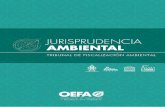 Jurisprudencia ambiental - Organismo de Evaluación y ...