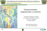 Homeostasis: control y regulación