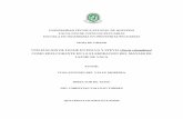 UTILIZACION DE LECHE EN POLVO Y STEVIA (Stevia rebaudiana)