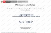 Perú - 2021*