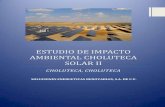 ESTUDIO DE IMPACTO AMBIENTAL CHOLUTECA SOLAR II