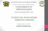 Centro Universitario UAEM Ecatepec Licenciatura en ...