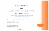 RELATORIO DE IMPACTO AMBIENTAL - Ministerio del Ambiente y ...