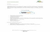 LabSolutions S.A Asesoría en SAP BO
