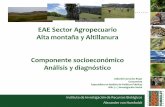 EAE Sector Agropecuario Alta montaña y Altillanura ...