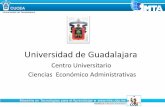 Universidad de Guadalajara - CUDI