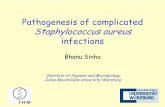 Pathogenesis of complicated Staphylococcus aureus infections