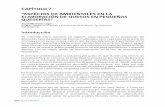 CAPÍTULO 7 “ASPECTOS DE AMBIENTALES EN LA ELABORACIÓN DE …