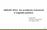 AMUAY 2012. De accidente industrial a tragedia pública.