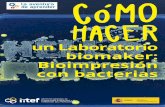 CÓMO HACER Laboratorio biomaker: Bioimpresión con …