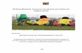 BCNwinMethod: Proyecto Academia de Fútbol de Angola (AFA)