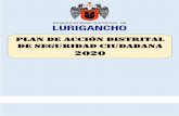 PLAN DE ACCIÓN distrital DE SEGURIDAD CIUDADANA 2020