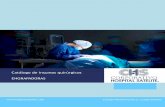 Catálogo de insumos quirúrgicos ENGRAPADORAS