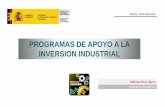 PROGRAMAS DE APOYO A LA INVERSION INDUSTRIAL