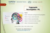 Programación Neurolingüística -PNL