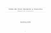 Vida de Don Quijote y Sancho - textos