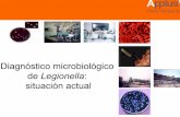 Diagnóstico microbiológico de Legionella