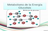 Metabolismo de la Energía Glucolisis