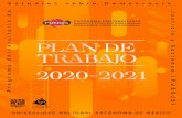 PLAN DE TRABAJO 2020-2021 - UNAM