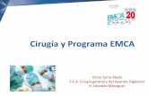 Cirugía y Programa EMCA