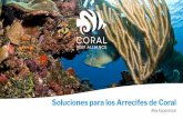 Soluciones para los Arrecifes de Coral