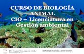Curso de Biología Animal C.I.O. - Licenciatura Gestión ...