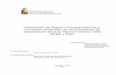 Descripción de Órganos Fonoarticulatorios y Funciones ...