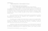 CAPITULO I “ANTECEDENTES Y SITUACIÓN ACTUAL” 1.1 ...