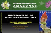 IMPORTANCIA DE LOS L HUMEDALES EN AMAZONAS