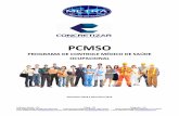 PCMSO - Tibagi Energia
