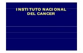 INSTITUTO NACIONAL DEL CANCER - Superintendencia de …
