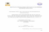 INFORME FINAL DEL PROYECTO DE RESIDENCIA PROFESIONAL