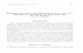 Ecología alimenticia del Petirrojo (Erithacus rubecula ...