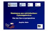 Résistance aux anti-infectieux: Cytomégalovirus