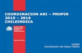 COORDINACION ARI – PROPIR 2015 – 2016 CHILEINDICA