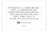 PERFIL LABORAL DE CARRERAS PROFESIONALES, …