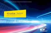 Guía NIIF - assets.ey.com