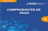 COMPROBANTES DE PAGO - UPN