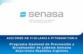 Programa Nacional de Prevención y Erradicación de Lobesia ...