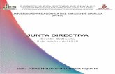 JUNTA DIRECTIVA - UPES