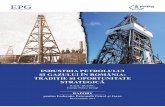 EPG Raport FPPG Industria petrolului si gazului Dec 2014