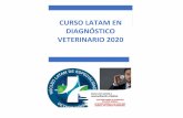 curso latam en diagnóstico veterinario 2020