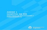 ANEXO 1 HOSPITAL DE DÍA - legisalud.gov.ar