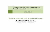 ESTACION DE SERVICIOS - Ministerio del Ambiente y ...