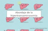 Abordaje de la hipertransaminasemia