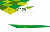 Informe de Gestión 2010 - ICA