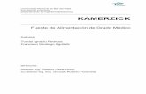KAMERZICK - rinfi.fi.mdp.edu.ar