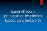 Signos clínicos y patología de las plantas tóxicas para ...